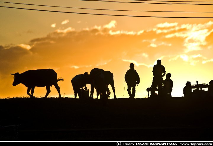 Article : Bonjour tout le monde!