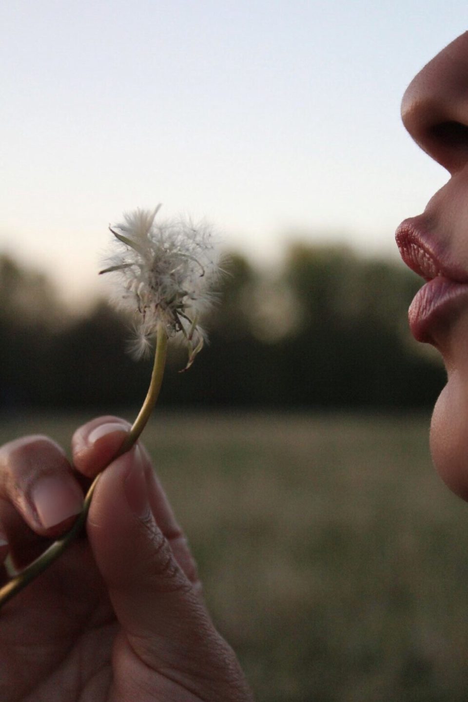 Article : Je vous souhaite du bon, du beau et de l&rsquo;inattendu!